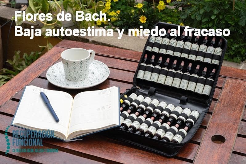 Flores de Bach. Baja autoestima y miedo al fracaso