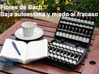 Flores de Bach. Baja autoestima y miedo al fracaso