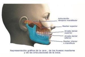 TRATAMIENTO DE LA ATM-DISFUNCIÓN TEMPOROMANDIBULAR - Imagen 1